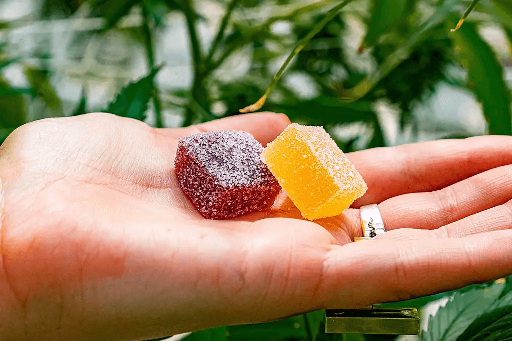 What Are THC Edibles?